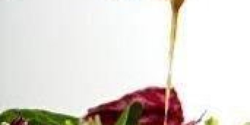 Bir salata kasesinin üzerine bir sürahi veya şişeden salata sosu dökülüyor. Salata, yeşil yapraklı, kırmızı yapraklı ve birkaç başka sebzeden oluşuyor. Sos, ince bir akış halinde salatanın üzerine dökülüyor. Arka plan beyaz ve sade.
