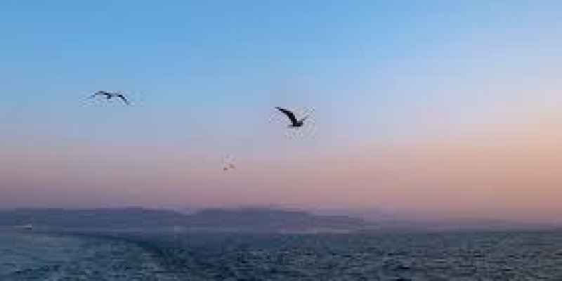Gün batımında deniz. Gökyüzü mavi renkte; ufuk çizgisi turuncu mavi kırmızı renklerinde. Denizin üstünde uçan birkaç kuş var.