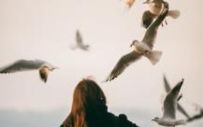 HAYAL KOLLEKSİYONCUSU