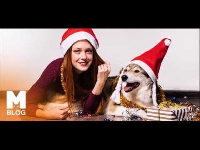 BİR DOST ELİ UZANINCA