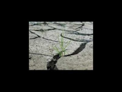 KIYMETİNİ BİLMEDİKLERİMİZ KIYAMETİMİZ OLUR