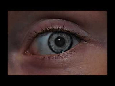 EBRULÎ YAŞAM ÖYKÜSÜ