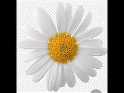 BİR ARKADAŞ ZİYARETİ