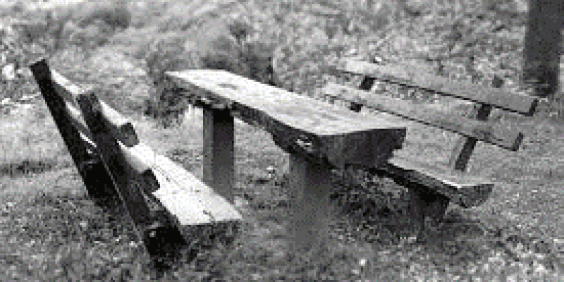 Çimenlik, doğal bir ortamda karşılıklı iki tahta bankın ortasında, tahta dikdörtgen bir masanın olduğu siyah beyaz fotoğraf.