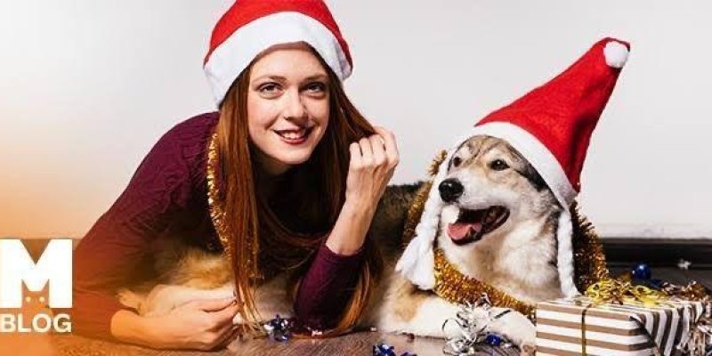 Noel Baba şapkası takmış genç bir kadın ve bir köpek. Kadın yerde uzanmış ve köpekle birlikte poz veriyor. İkisi de kırmızı Noel Baba şapkası takıyor. Kadının üzerinde mor bir kazak var ve boynunda altın rengi bir süsleme bulunuyor. Köpeğin de boynunda benzer bir süsleme var. Yanlarında hediye paketi ve etrafa dağılmış süslemeler görünüyor. Sol alt köşede "M BLOG" yazısı yer alıyor.