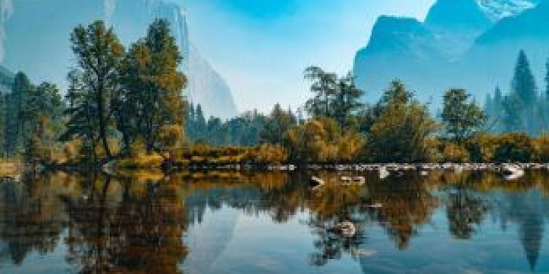 SAYFİYE GÜNLÜKLERİ