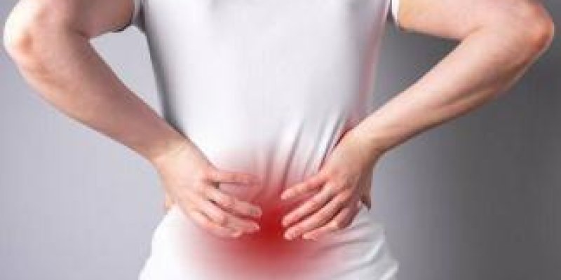 BİLİM DÜNYASINDA BU AY - AĞUSTOS 2025