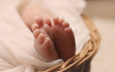 ŞİMDİ DE ORGANİZE BEBEK CİNAYETLERİ VAHŞETİ Mİ?