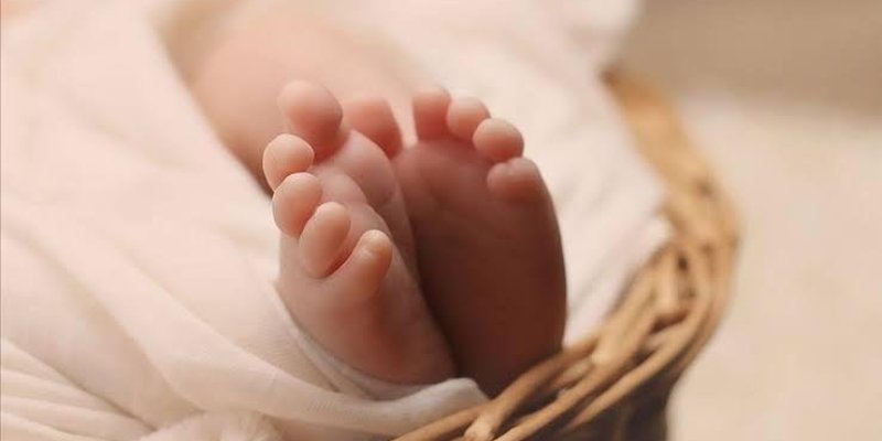 Bir bebek sepetin içinde yatıyor ve sadece ayakları görünüyor. Bebek, beyaz bir örtüye sarılmış. Ayaklar, sevimli ve minik parmaklarıyla dikkat çekiyor.