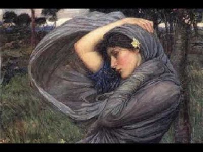 ÖZLEMLERİNİ BİRİKTİR!