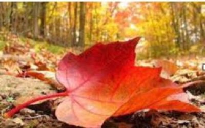 BİR KÜÇÜK EYLÜL MESELESİ