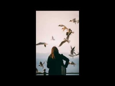 HAYAL KOLLEKSİYONCUSU