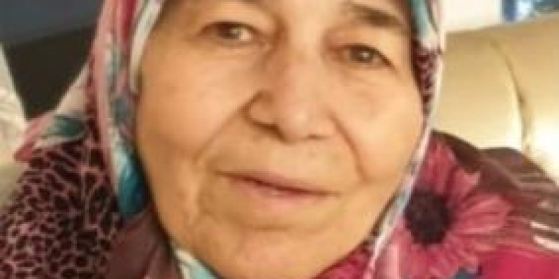 SEVGİ AĞACININ GÖLGESİNDE