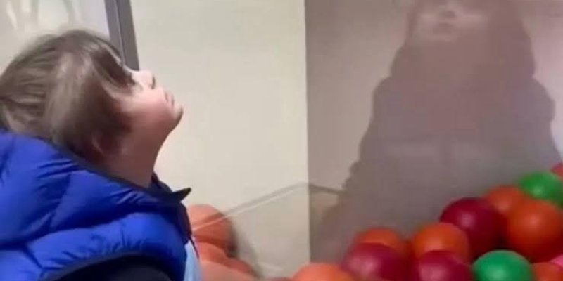 Mavi yelek giymiş bir çocuk, bir camın arkasındaki renkli toplara bakıyor. Camda çocuğun yansıması da görülüyor. Toplar kırmızı, turuncu ve yeşil. Çocuk yukarı doğru bakıyor ve ifadesi meraklı.