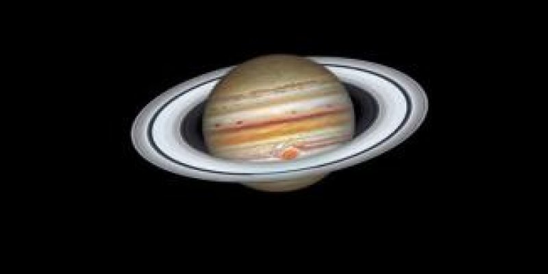 KADINLAR, GEZEGENLER VE CÜCELER