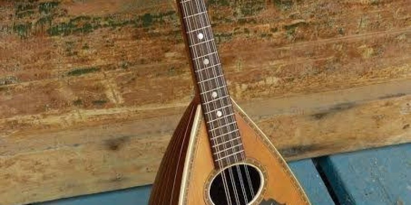 Armut şeklinde bir gövdeye ve uzun bir sapa sahip telli bir çalgı, bir mandolin. Gövdesi ahşap ve cilalı, sapı koyu renkli ahşaptan yapılmış. Gövdenin üst kısmında, ses deliğinin etrafında çiçek desenli bir süsleme bulunuyor. Mandolin, eski ve ahşap bir yüzeyin üzerine yerleştirilmiş. Arka planda ahşap bir kutu veya sandık var.