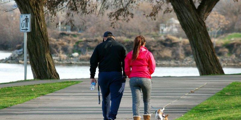 Önünde nehir olan büyük ağaçlı bir parkta yürüyüş yapan kadın ve adam var. Çifte tasmalı köpekleri eşlik ediyor. Fotoğraf arkadan çekilmiş. Çift spor kıyafetli.