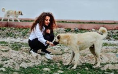 HAYVANLAR VE İNSANLAR ÜZERİNE