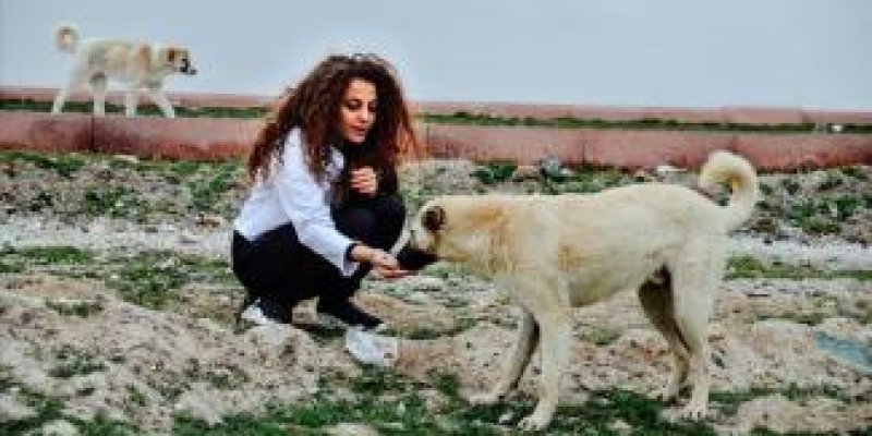 HAYVANLAR VE İNSANLAR ÜZERİNE