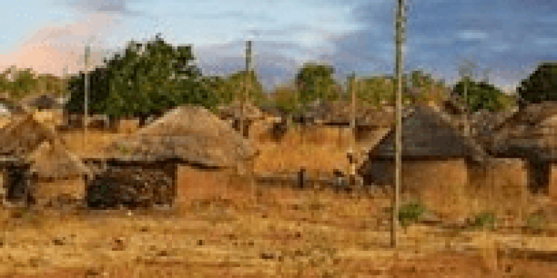 Kerpiç evlerin ve sarı rengin hâkim olduğu köy ortamı. Evlerin arkasında yeşil ağaçlık alan görünüyor.
