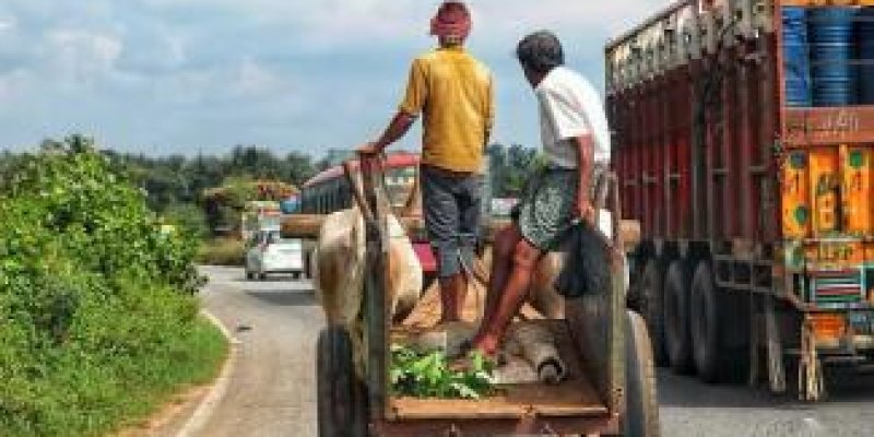 KAĞNI KAMYONU YENDİ