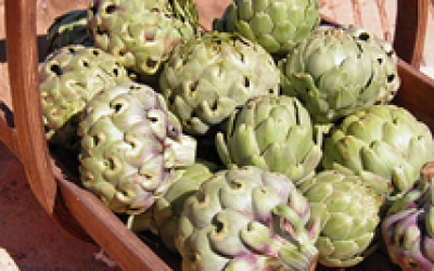 ZEYTİNYAĞLI YEMEKLERİN VAZGEÇİLMEZİ ÇANAK ENGİNAR