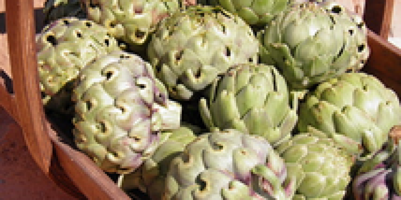 ZEYTİNYAĞLI YEMEKLERİN VAZGEÇİLMEZİ ÇANAK ENGİNAR