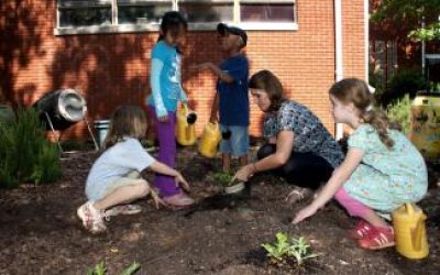 ANLAMLI BİR ETKİNLİK