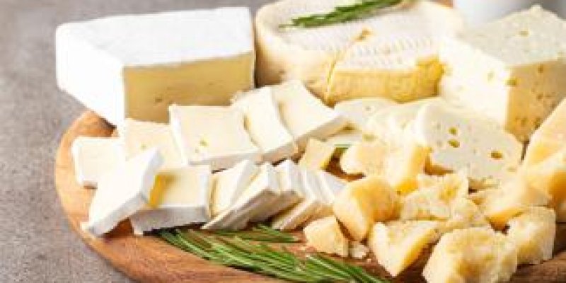 BİLİM DÜNYASINDA BU AY - KASIM 2025