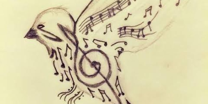 Müzik notalarından oluşmuş bir kuş tasviri. Kuşun başı ve gövdesi, notaların birleşimiyle oluşturulmuş. Kanatları müzik notaları ve portelerle detaylandırılmış. Kuşun kuyruğu da notalarla süslenmiş. Resmin alt kısmında, sanatçının imzası bulunuyor. Tasarım, müzik ve doğanın birleşimini simgeliyor.