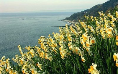 MİS GİBİ KOKUYORDU KARABURUN