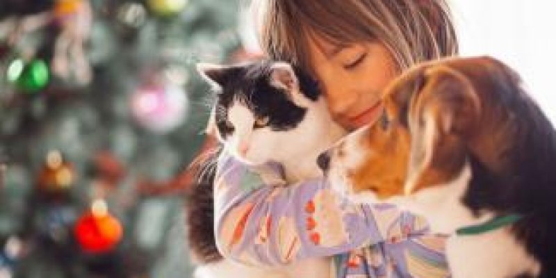 SEVMEKLE BAŞLAYACAK HER ŞEY