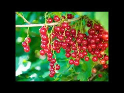 BİLİM DÜNYASINDA BU AY - EYLÜL 2024