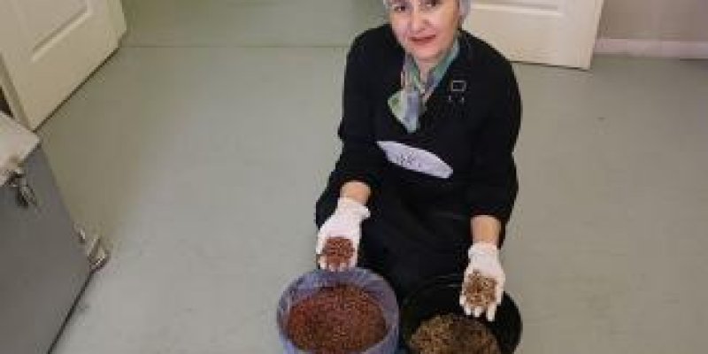 KADININ GÜNCESİ - ŞUBAT 2025