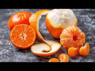 BİLİM DÜNYASINDA BU AY - AĞUSTOS 2024