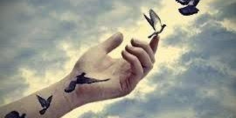 Gökyüzüne uzanan bir el ve elin üzerinde uçan kuşlar, elin bilek kısmında kuş dövmeleri bulunuyor. Gökyüzü bulutlu ve kuşlar özgürce uçuyor.