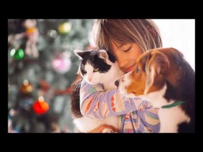 SEVMEKLE BAŞLAYACAK HER ŞEY