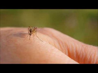 BİLİM DÜNYASINDA BU AY - HAZİRAN 2024