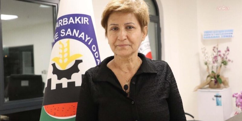 Kısa sarı saçlı, açık tenli Nevin İl, iç mekânda ayakta duran bir pozisyonda. Yüzü kameraya dönük, ifadesi ciddi ve sakin. Üzerinde yakası açık, uzun kollu siyah bir gömlek, boynunda altın renkli zincirli bir kolye ve göğüs hizasında küçük bir yaka mikrofonu. Arka planda solda dikey duran büyük bir bayrak veya flama; üzerinde mavi bir alan içinde beyaz harflerle “DİYARBAKIR … VE SANAYİ ODA…” yazıları ve altında sarı bir başak, siyah dişli çark ve stilize bir kale ile kırmızı-yeşil bir zemin bulu