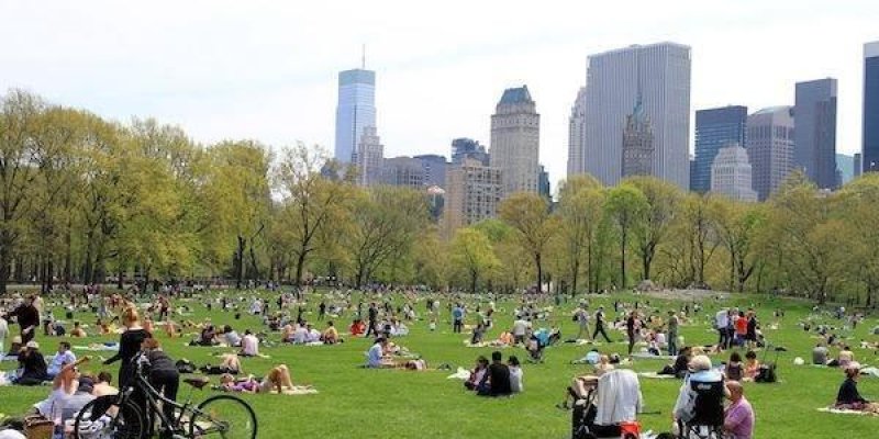 Geniş, yeşil bir çim alanın üzerinde onlarca insanın oturduğu ve uzandığı kalabalık bir park manzarası. Çimlerin üzerinde her yerde battaniyeler, örtüler ve havlular serilmiş; insanlar güneşleniyor, sohbet ediyor, kitap okuyor, dinleniyor. Bazıları tek başına uzanmış, bazıları küçük gruplar hâlinde karşılıklı oturmuş. Çocuk arabalarıyla gelenler ve bebekleriyle oturan birkaç kişi de var.