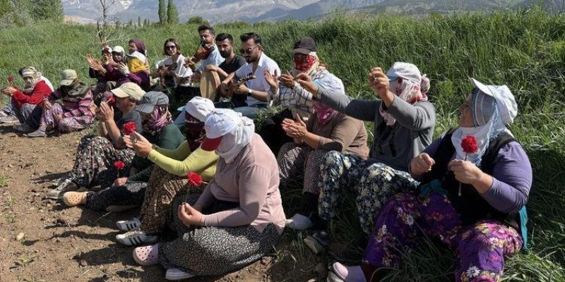 Tarlada oturan kadınlar ve birkaç erkekten oluşan bir grup. Kadınların çoğu başörtülü, şalvar giymiş ve ellerinde kırmızı karanfiller tutuyorlar. Erkekler arka sırada oturuyor, bazıları el çırpıyor. Kadınların bazıları da dua eder gibi ellerini açmış. Arka planda yemyeşil otlar, daha uzakta karlı dağlar ve mavi gökyüzü var. Hava güneşli ve açık. Grup, toprak bir yolun kenarında oturuyor.
