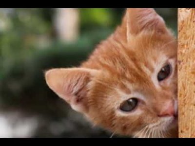 AÇKEN BEN BEN DEĞİLİM AÇLIĞIMI YOK ETMELİYİM