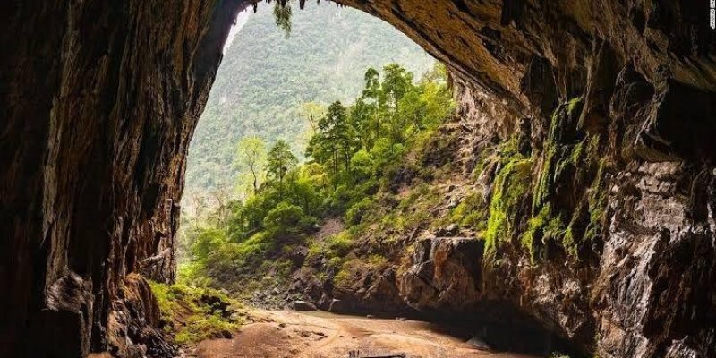 Bir mağara, ağzı oldukça geniş ve yüksek. İçi karanlık, dışarıdan gelen doğal ışık mağaranın girişini aydınlatıyor. Dışarıda yemyeşil ağaçlar ve bitkilerle kaplı bir orman manzarası. Tabanı kumlu ve birkaç insan figürü mağaranın içinde yürürken görülüyor. Duvarlarında ve tavanında bazı yerlerde yeşil bitkiler sarkıyor.
