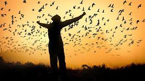 Alacakaranlık açık bir ortamda bedeni siyah olarak görünen bir kadın ayakta ellerini iki yana açmış. Sarı renkli görünen gökyüzünde uçuşan bir kuş sürüsü görünüyor.