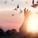 Açık havada günbatımında kolu havada olan ve elini açmış biri var. Havada uçan kuş sürüsü görünüyor.