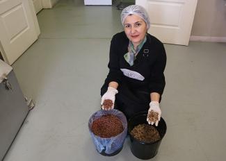 Hülya Marangoz, beyaz bir bone ve beyaz eldivenler takmış, siyah bir önlük giymiş. Yerde oturuyor ve iki elinde farklı türde hurma Çekirdeği tutuyor. Sol elinde daha koyu renkli çekirdekler, sağ elinde daha açık renkli çekirdekler var. Önünde iki kova bulunuyor; solundaki kovada koyu renkli çekirdekler, sağındaki kovada açık renkli çekirdekler var. Marangoz, kameraya bakarak gülümsüyor.