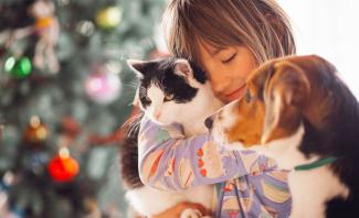 Küçük bir çocuk, bir kediyi ve bir köpeği kucaklıyor. Yüzünde huzurlu ve mutlu bir ifade var. Kedi siyah-beyaz, köpek kahverengi-beyaz renkte. Arka planda bulanık şekilde renkli yılbaşı süsleriyle donatılmış bir ağaç görünüyor.