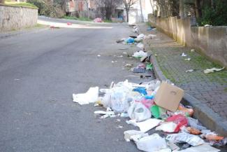 Kaldırım kenarında ve yol boyunca yayılmış çöp yığınları. Plastik poşetler, karton kutular, gazeteler, yiyecek artıkları ve çeşitli atıklar görülebiliyor. Ortam genel olarak dağınık ve kirli; kaldırımda ve yolun kenarında neredeyse hiç boş, temiz alan yok. Arka planda ağaçlar ve birkaç bina bulunuyor. Sokak genel olarak ıssız görünüyor, herhangi bir insan veya araç yok.